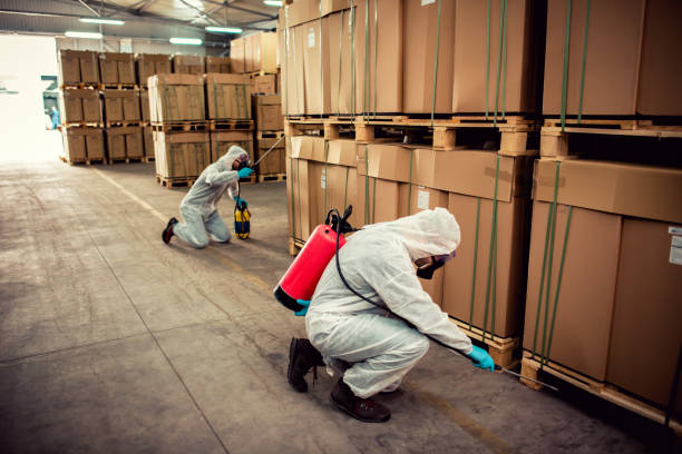 Best Pest Removal Services  in Meeker, OK