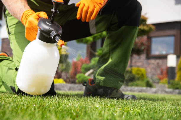 Best Pest Removal Services  in Meeker, OK
