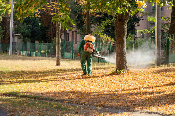 Best Affordable Pest Control Services  in Meeker, OK