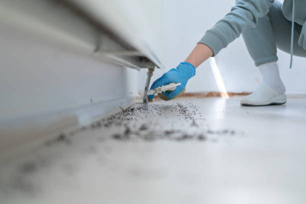 Best Commercial Pest Control Services  in Meeker, OK